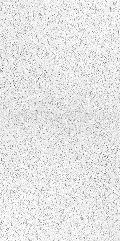 USG Ceilings 220 Fifth Avenue 48 in. L X 24 in. W 0.625 in. Square Edge Ceiling Tile 1 pk
