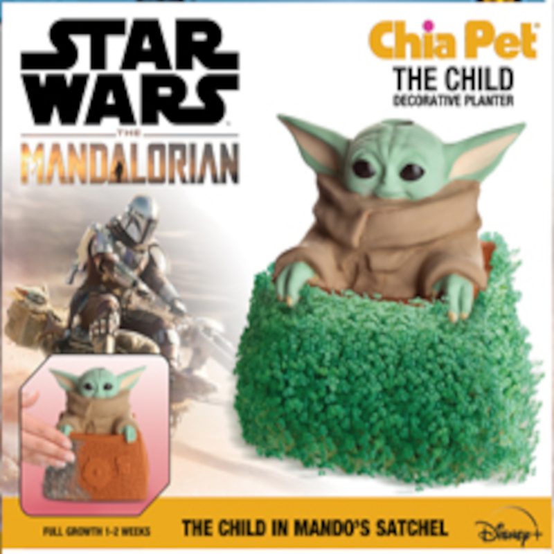 CHIA PET进口代理批发 Chia Pet 星球大战儿童曼达洛装饰花盆粘土 1 个装