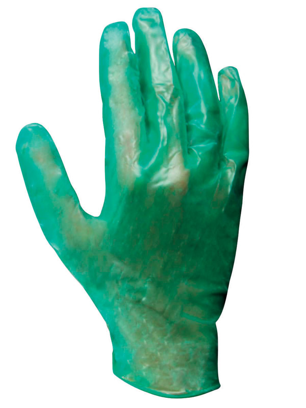 Soft Scrub Vinyl Disposable Gloves One Size Fits All Green 10 pk eBay