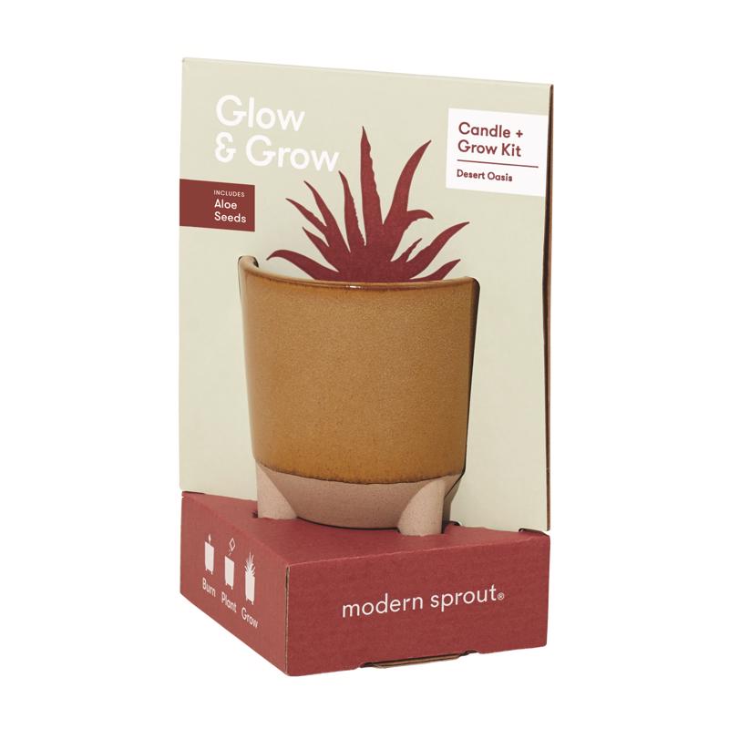 MODERN SPROUT进口代理批发 Modern Sprout Glow & Grow 生长套件 1 包