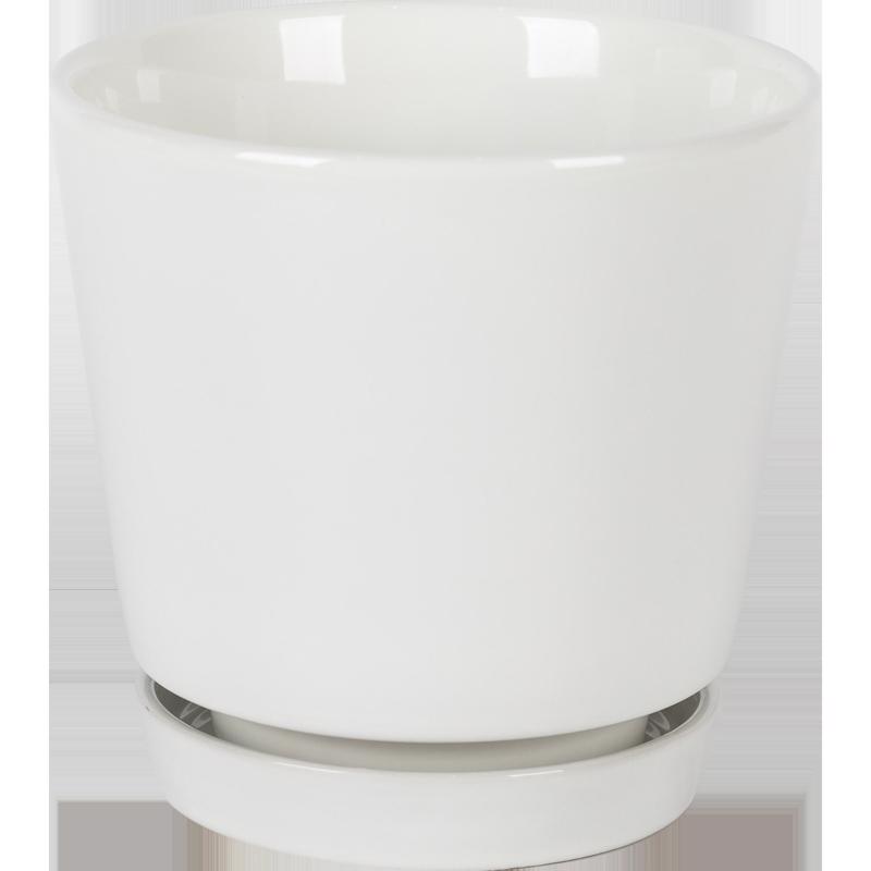 Border Concepts 4.5 in. D Ceramic Flair Saucer Planter White