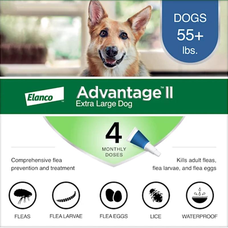 Liquid flea treatment for dogs best sale