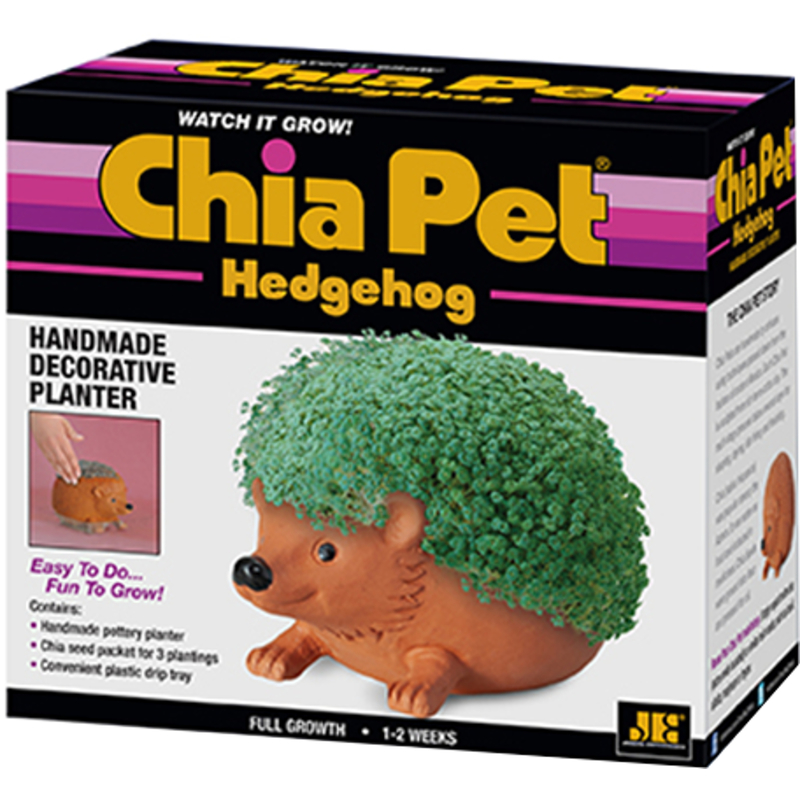 CHIA PET进口代理批发 奇亚籽宠物刺猬装饰花盆粘土 1 包